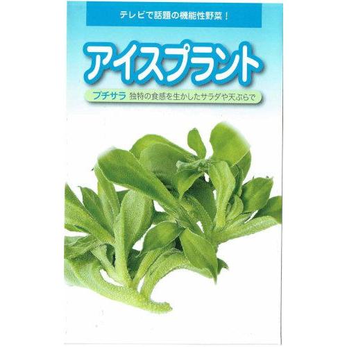 武蔵野種苗　アイスプラント　プチサラ　コート種子　５０粒入