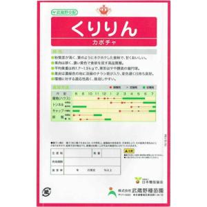 武蔵野種苗園 カボチャ くりりん 約6粒【郵送対応】の詳細画像1