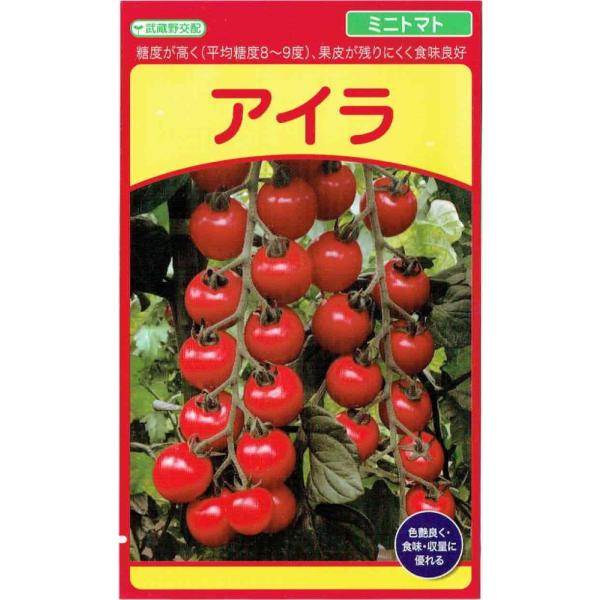 武蔵野種苗園　ミニトマト　「アイラ」のタネ　約8粒