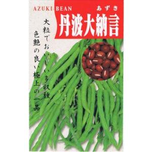 枝豆 丹波黒大粒大豆 1dl(約65粒) タキイ種苗（株） : グリーンロフト