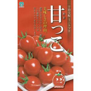 丸種　宇治交配 ミニトマト 甘っこ 約15粒 【郵送対応】