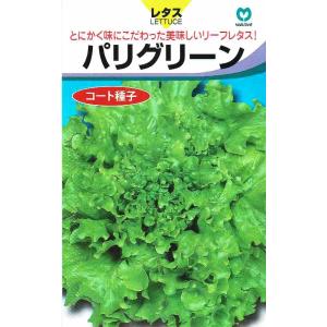 丸種　レタス　パリグリーン　コート種子　40粒｜nikkoseed2012