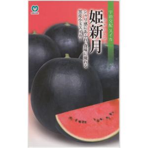 スイカ種子】サカタ交配 黒皮すいか 「タヒチ」 小袋 ☆新タネの