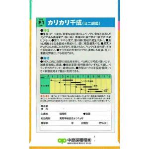 中原採種場 キュウリ カリカリ千成 約8粒 【...の詳細画像1