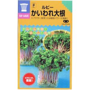 中原採種場 かんたんスプラウト ルビー かいわれ...の商品画像