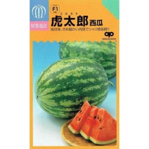 虎太郎 接木スイカ苗　30本 スイカ】虎太郎西瓜【中原採種場】（10粒）野菜種[春まき] : Hana Uta