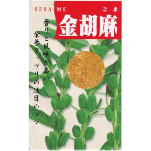 中原採種場 金胡麻（金ごま・金ゴマ）のタネ[内容量：10ml]
