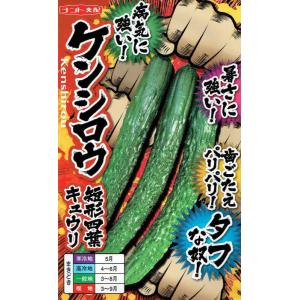 デコきゅう（家庭菜園用キュウリの型）星型×50本セット パッケージ袋