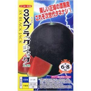 ナント種苗　スイカ　３Ｘブラックジャック 約8粒 【郵送対応】｜日光種苗ヤフー店