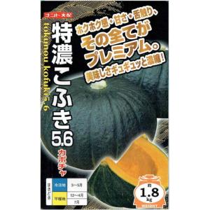 ナント種苗　カボチャ　特濃こふき５.６　約7粒【郵送対応】｜nikkoseed2012