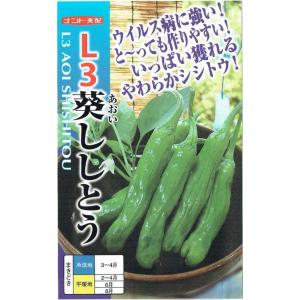 根深ネギ 種 『森の奏で』 トキタ種苗/コート5000粒 : 種兵ネット
