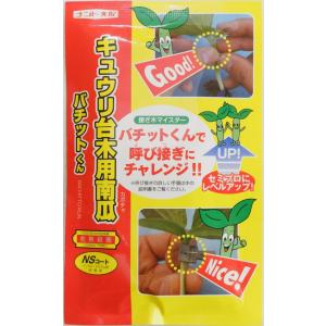 野菜種子 ミニトマト チョコちゃん トキタ種苗のタネ : Gardener s