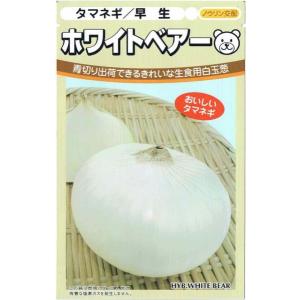 日本農林社　タマネギ　ホワイトベアー　ペレット種子200粒【郵送対応】