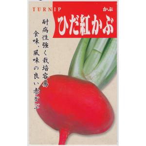 日本タネセンター ひだ紅かぶのタネ[内容量:10ml]の商品画像