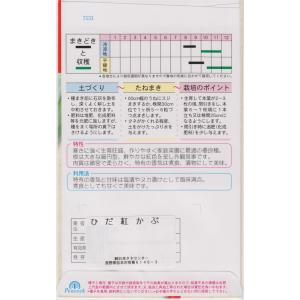 日本タネセンター ひだ紅かぶのタネ[内容量:1...の詳細画像1