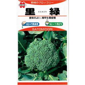 アーリーキャノン ブロッコリー コート種子 5000粒 アーリーキャノン ブロッコリー コート種子 5000粒 ブロッコリー