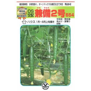 ネギ種子】ダイヤ交配（トキタ種苗）「大地の響き（だいちのひびき