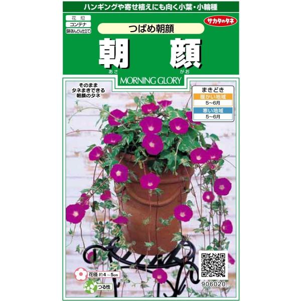 サカタのタネ　朝顔　つばめ朝顔　1ml　【郵送対応】