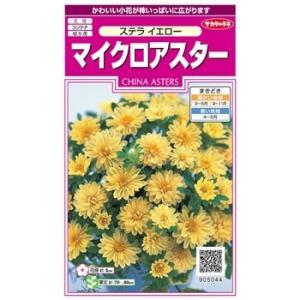 サカタのタネ　マイクロアスター・ステラ　イエロー 【郵送対応】