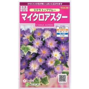 マイクロアスターステラブルーの商品一覧 通販 Yahoo ショッピング