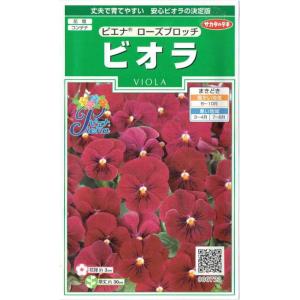 ビオラ パンジー 種の商品一覧 通販 Yahoo ショッピング