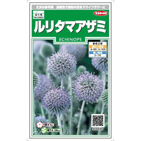 サカタのタネ　ルリタマアザミ　1.5ml【郵送対応】