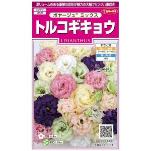 トルコキキョウ 種 花の種 の商品一覧 種 種子 花 ガーデニング 通販 Yahoo ショッピング