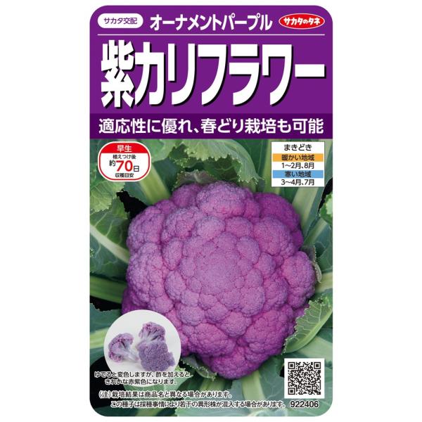 サカタのタネ 紫カリフラワー オーナメントパープルのタネ[内容量：0.2ml]