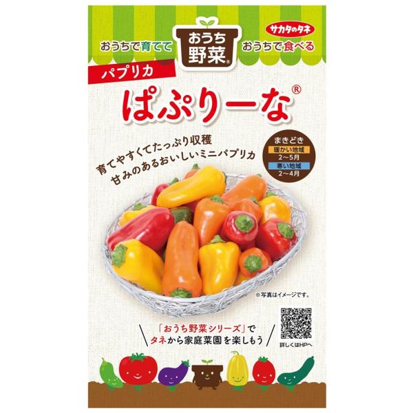 サカタのタネ  おうち野菜 パプリカ ぱぷりーなミックスのタネ[内容量：12粒]