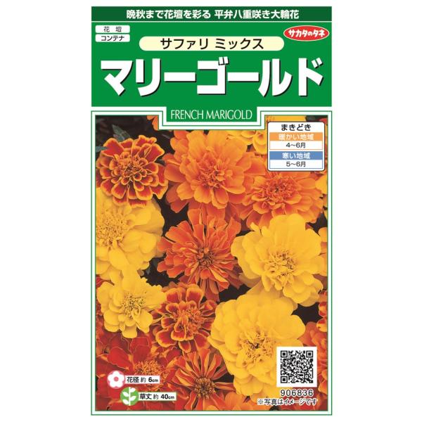 サカタのタネ マリーゴールド サファリミックスのタネ[内容量：0.7ml]