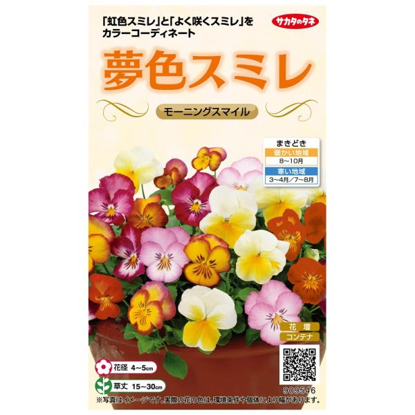 サカタのタネ スミレ 夢色スミレ　モーニングスマイルのタネ[内容量：約50粒][9546]