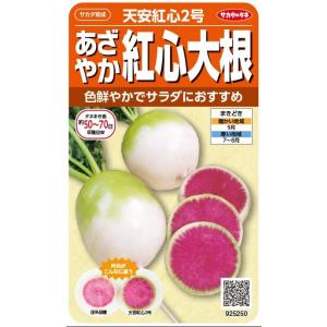 紅芯大根の商品一覧 通販 Yahoo ショッピング