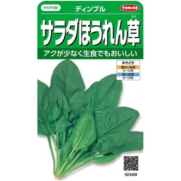サカタのタネ　サラダほうれん草　ディンプル  25ml【郵送対応】
