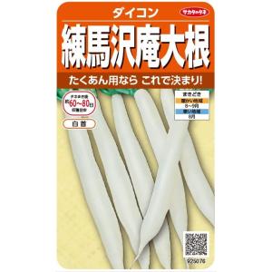 サカタのタネ　ダイコン　練馬沢庵大根　10ml　【郵送対応】