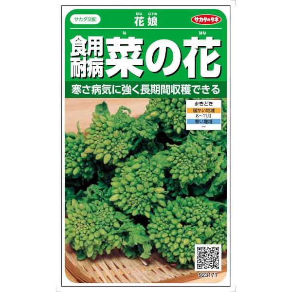 サカタのタネ　食用耐病菜の花 花娘　4.8ml【郵送対応】（なのはな、ナノハナ）