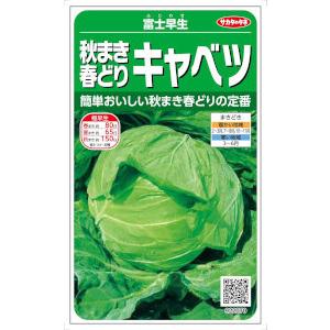 サカタのタネ 秋まき春どりキャベツ（富士早生）[内容量：2ml] : 日光
