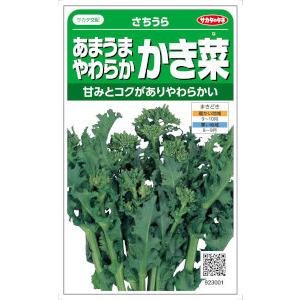 サカタのタネ あまうまかき菜 7ml【郵送対応】