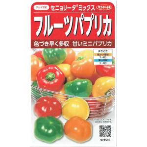 サカタのタネ　カラーピーマン　セニョリータミックス　約10粒【郵送対応】【品種名：掛川01_登録番号...
