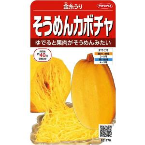 サカタのタネ　そうめんカボチャ　金糸瓜　13ml【郵送対応】｜nikkoseed2012