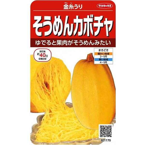 サカタのタネ　そうめんカボチャ　金糸瓜　13ml【郵送対応】