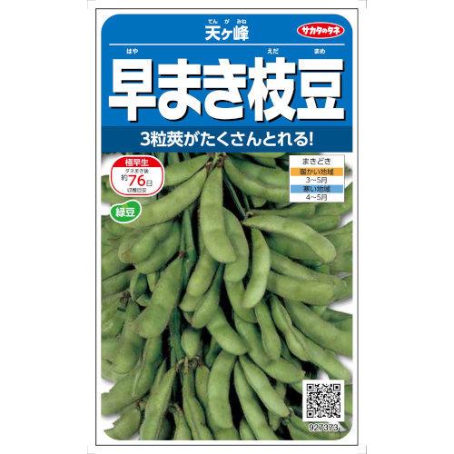 サカタのタネ 極早生多収穫枝豆 天ヶ峰 30ml【郵送対応】