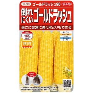 サカタのタネ　トウモロコシ　倒れにくい ゴールドラッシュ９０　21ml【郵送対応】