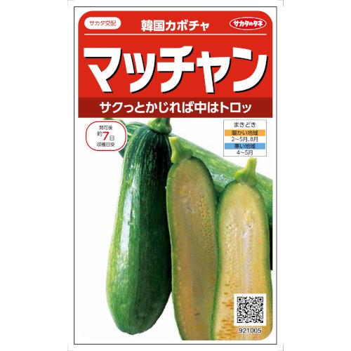 サカタのタネ カボチャ つるありズッキーニ型 マッチャン 約8粒【郵送対応】