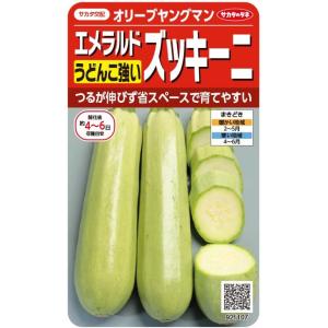 サカタのタネ エメラルドズッキーニのタネ 4ml