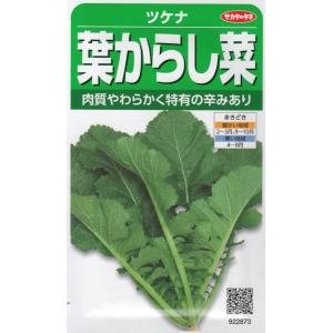 SK9-099 ブロッコリー種子 ペレット5000粒 【野菜種子】【サカタのタネ