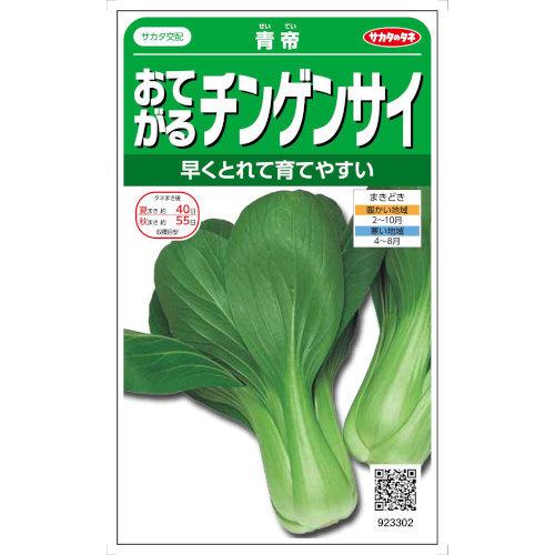 サカタのタネ チンゲンサイ おてがるチンゲンサイ 青帝 3.6ml【郵送対応】