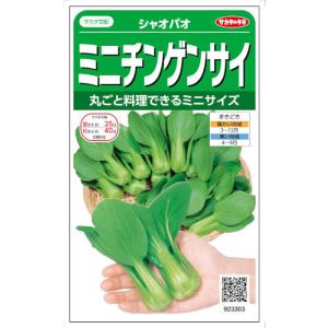 サカタのタネ ミニチンゲンサイ シャオパオ 3ml【郵送対応】