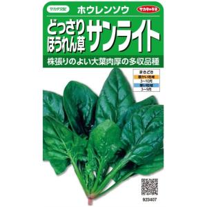 SK9-099 ブロッコリー種子 ペレット5000粒 【野菜種子】【サカタのタネ