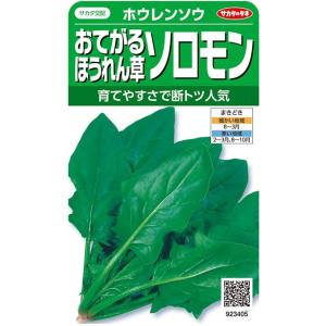 サカタのタネ ホウレンソウ おてがるほうれんそう ソロモン 25ml【郵送対応】