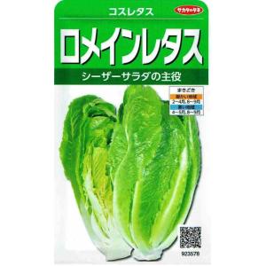 SK9-099 ブロッコリー種子 ペレット5000粒 【野菜種子】【サカタのタネ